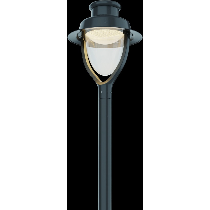 ACORNIA-D Decorative LED Light