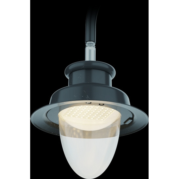ACORNIA-HP Decorative LED Light