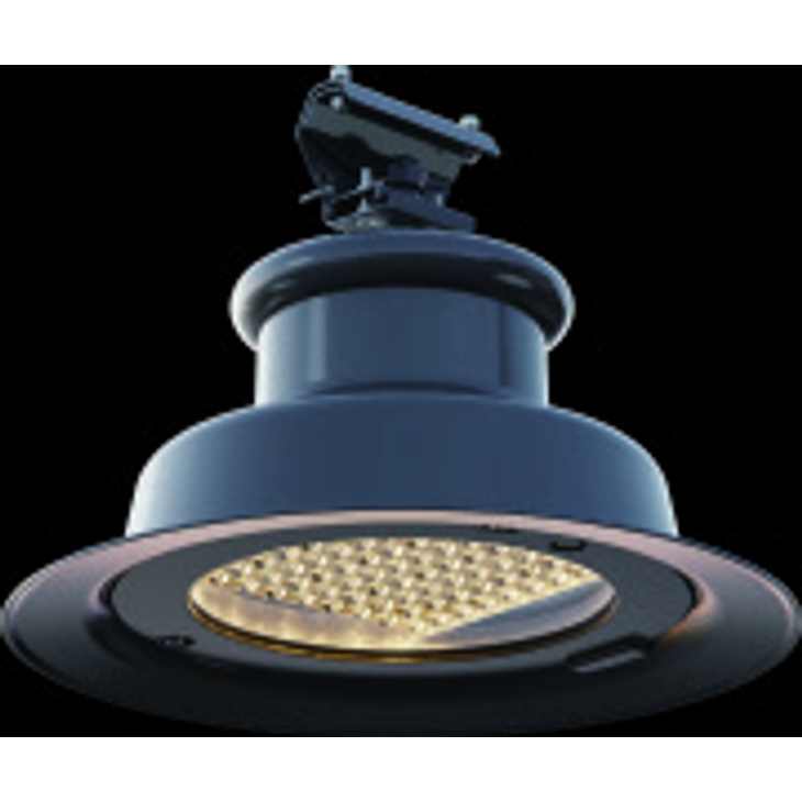ACORNIA-HS Decorative LED Light