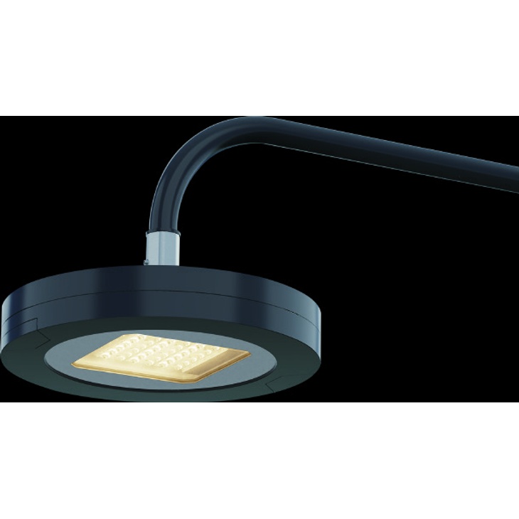 NEXIA-HP Decorative LED Light