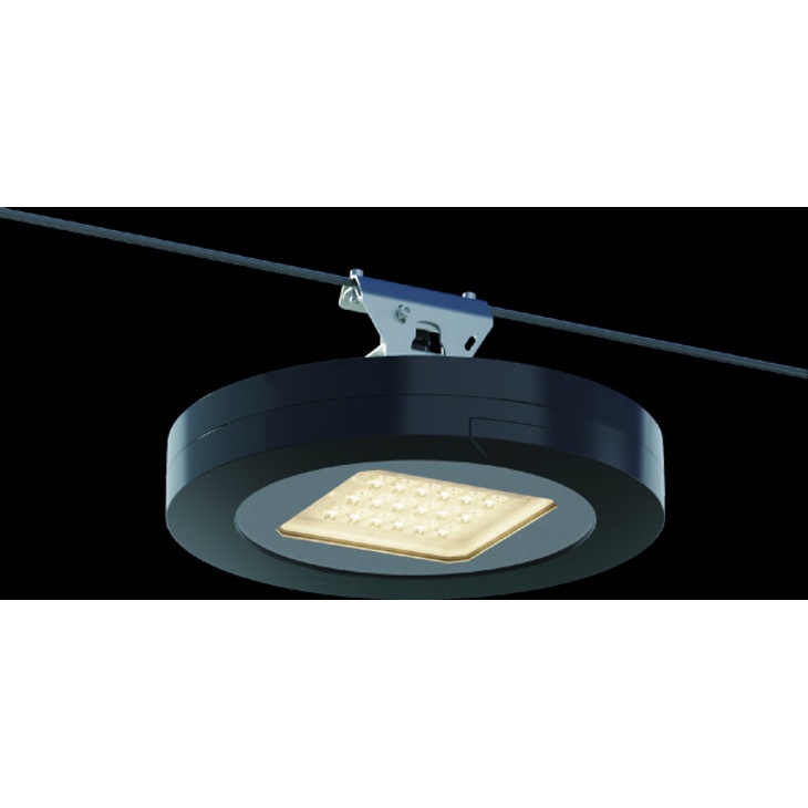 NEXIA-HS Decorative LED Light