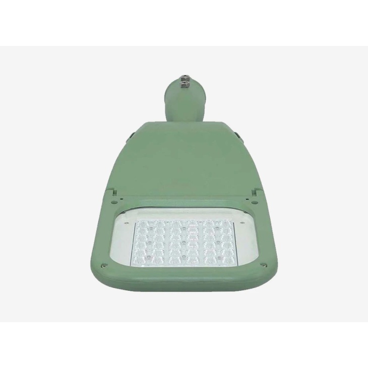 PISCES 2 LED roadway light view 2